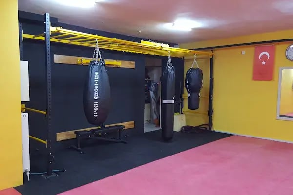 Çankaya Savunma Sanatları Spor Kulübü - Resim 7
