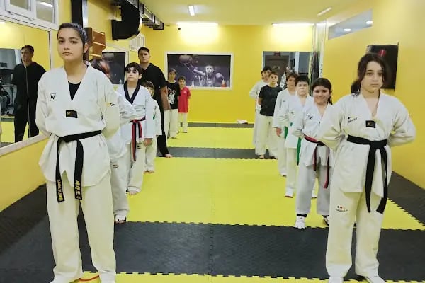 Çankaya Savunma Sanatları Spor Kulübü - Resim 13