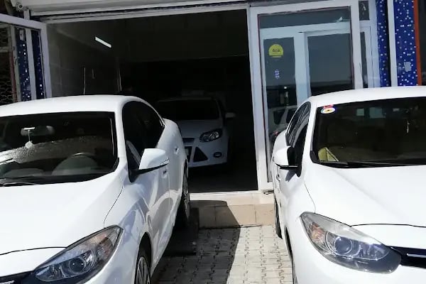 BAŞGÖK OTOMOTİV ŞANLIURFA AKÇAKALE YOLU - Resim 2