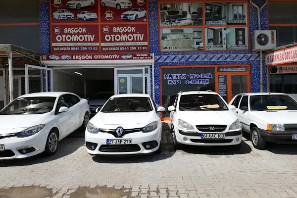 BAŞGÖK OTOMOTİV ŞANLIURFA AKÇAKALE YOLU - Resim 13