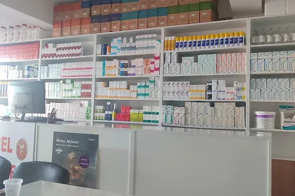 BAŞGÖK OTOMOTİV ŞANLIURFA AKÇAKALE YOLU - Resim 7