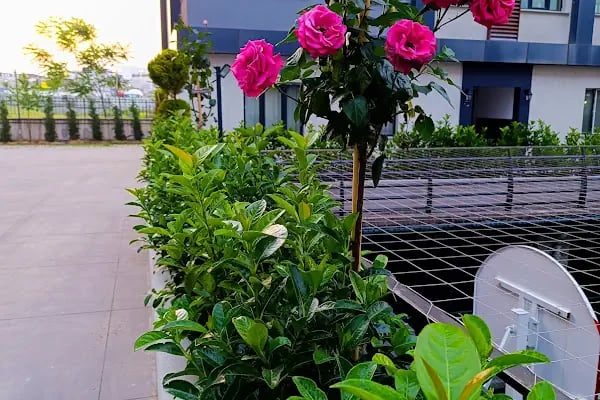 Simpark Evleri Taşoluk - Resim 7