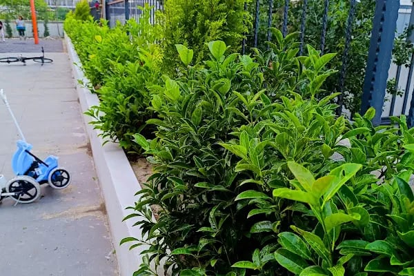 Simpark Evleri Taşoluk - Resim 4