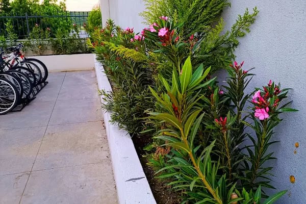 Simpark Evleri Taşoluk - Resim 10