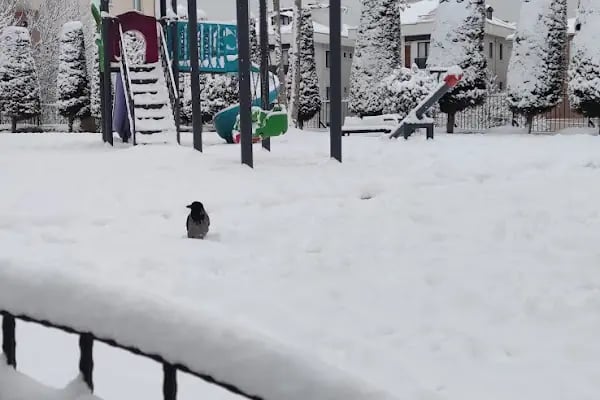 İkbal Parkı - Resim 12