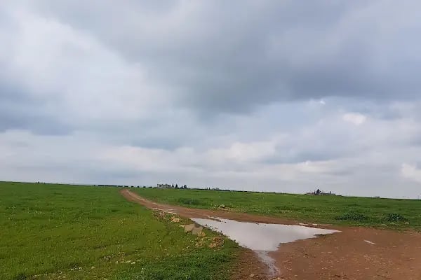 Akçakale Belediyesi Garajı - Resim 1