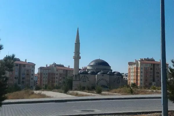 Toki Hicret Cami - Resim 9