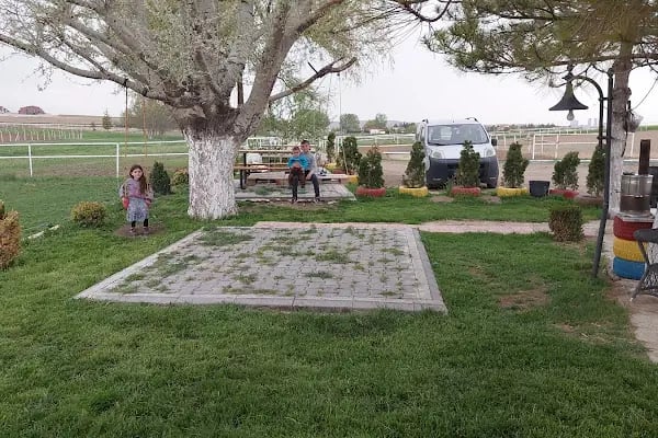 GÜNDÜZ AT ÇİFTLİĞİ - Resim 5