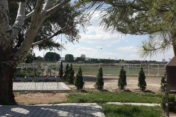 GÜNDÜZ AT ÇİFTLİĞİ - Resim 14