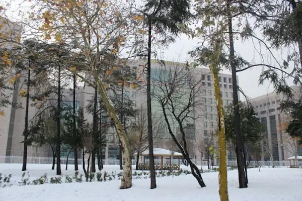 İstanbul Adalet Sarayı - Resim 17