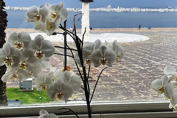 Prof.Dr.Mustafa DURĞUN Estetik Plastik ve Rekonstrüktif Cerrahi Uzmanı - Resim 4