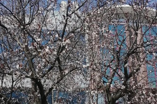Üsküdar Üniversitesi Merkez Yerleşke - Resim 14