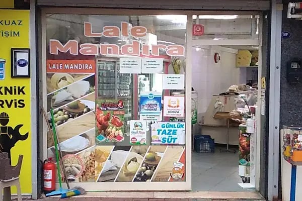 Lale Mandıra - Resim 7