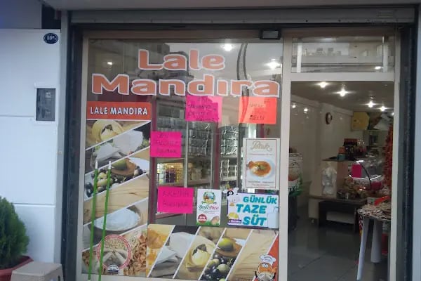 Lale Mandıra - Resim 14
