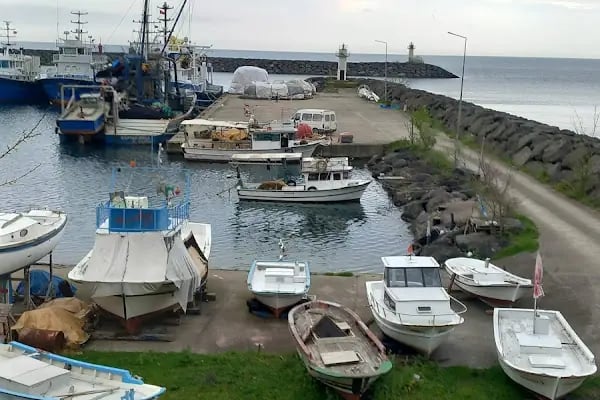 Trabzon Bölge Liman Başkanlığı (Ana Bina) - Resim 4