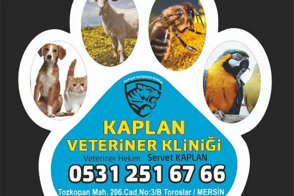 Kaplan Veteriner Kliniği - Resim 18