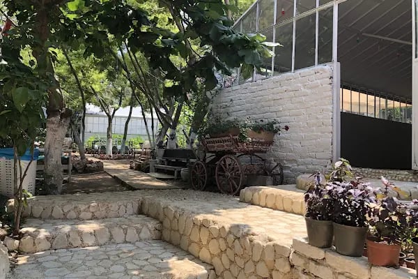 Yücetepe Restoran & Kafe - Resim 12