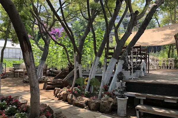 Yücetepe Restoran & Kafe - Resim 8