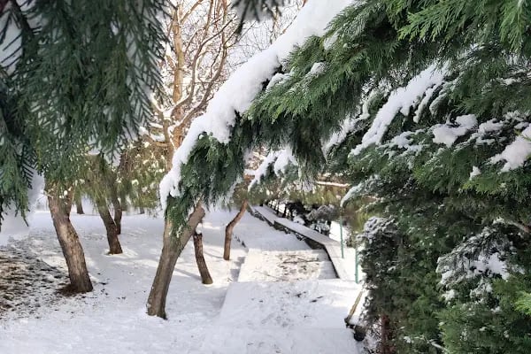 İBB Otağcılar Parkı - Resim 10