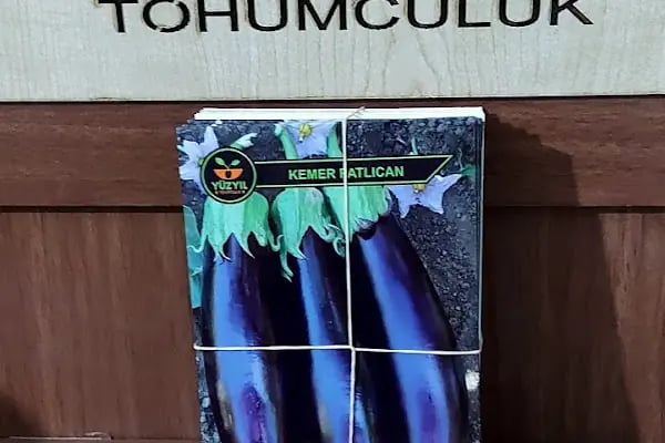 Yüzyıl Tohumculuk - Resim 10