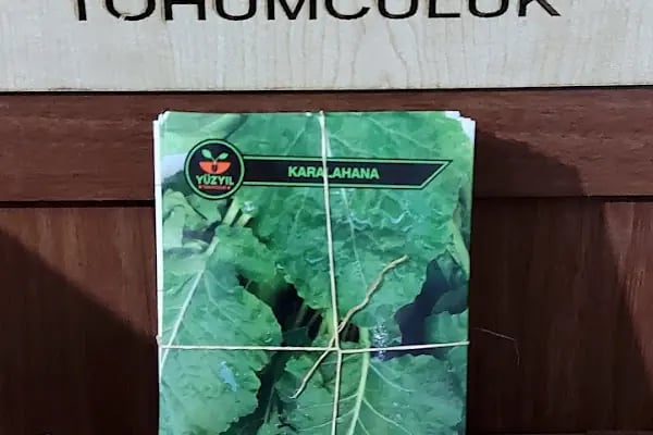 Yüzyıl Tohumculuk - Resim 17