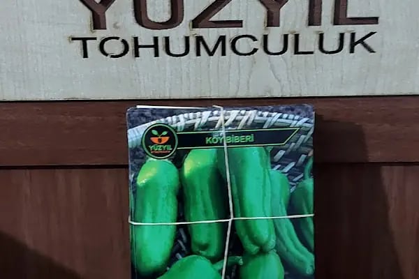 Yüzyıl Tohumculuk - Resim 5