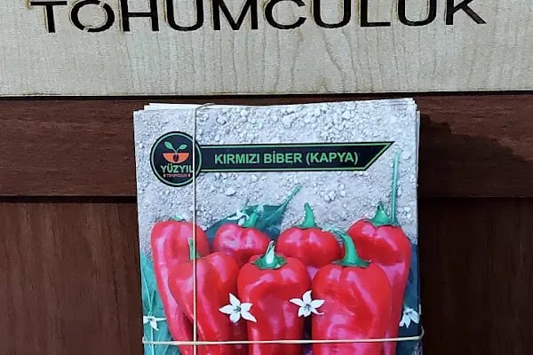 Yüzyıl Tohumculuk - Resim 3