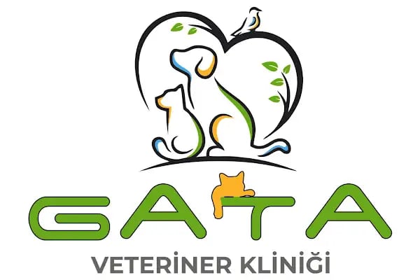 Gata Veteriner Kliniği - Resim 12