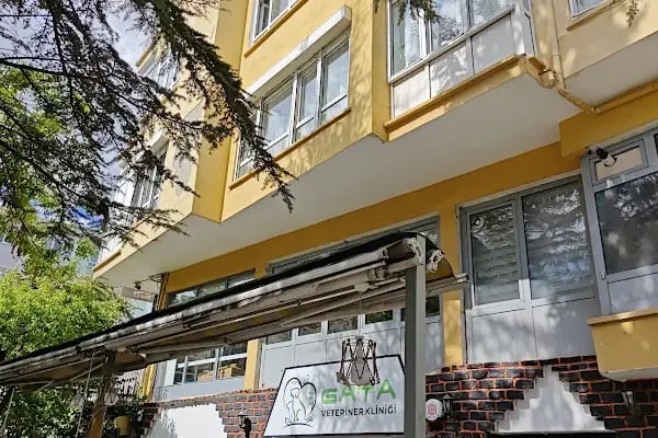 Gata Veteriner Kliniği - Resim 1