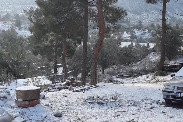 Kozalak bahçe - Resim 20
