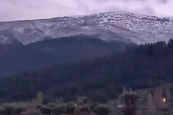 Kozalak bahçe - Resim 15