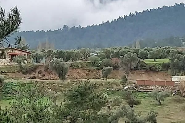 Kozalak bahçe - Resim 11