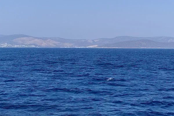 Bodrum Kos Feribot - Resim 10