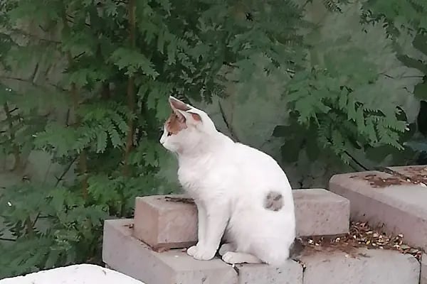 Sami Ulus Kadin Dogum Cocuk Hastanesi - Resim 14