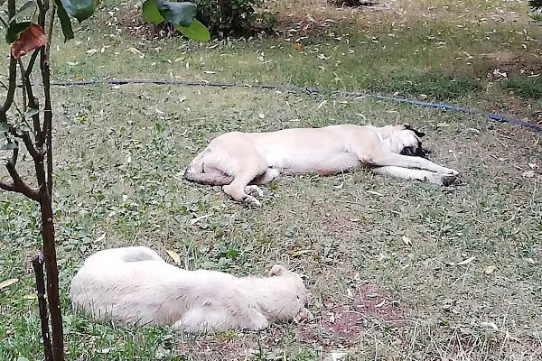 Sami Ulus Kadin Dogum Cocuk Hastanesi - Resim 15