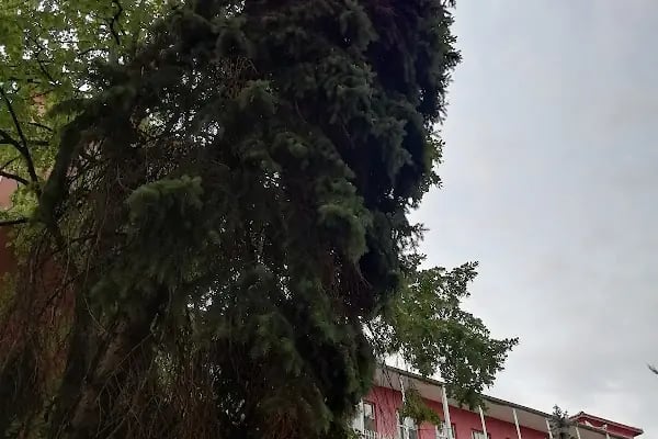 Sami Ulus Kadin Dogum Cocuk Hastanesi - Resim 4