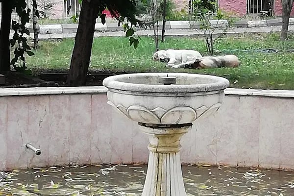Sami Ulus Kadin Dogum Cocuk Hastanesi - Resim 8