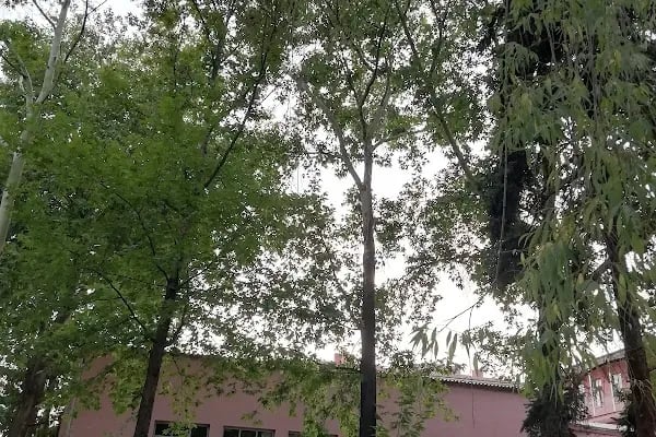 Sami Ulus Kadin Dogum Cocuk Hastanesi - Resim 2