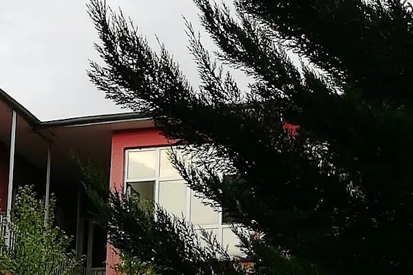 Sami Ulus Kadin Dogum Cocuk Hastanesi - Resim 11