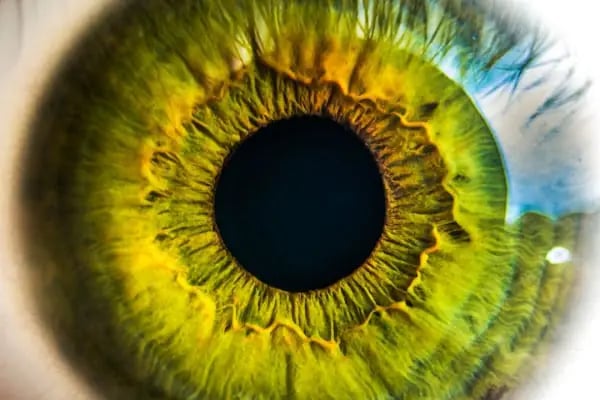 Fotoğrafçı Fotostudio - Resim 13