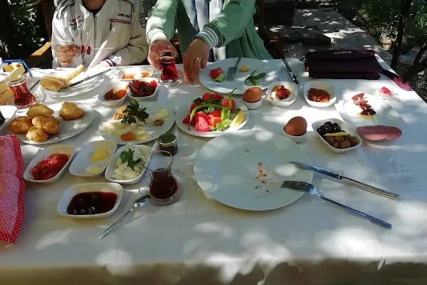 Çıtak taşbahçe - Resim 3