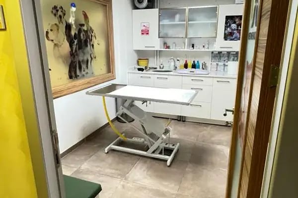 Vetmemorial Veteriner Kliniği - Resim 5