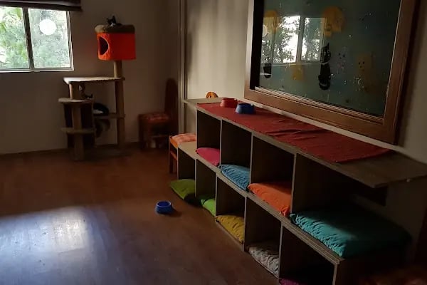 Vetmemorial Veteriner Kliniği - Resim 16