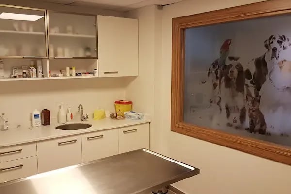 Vetmemorial Veteriner Kliniği - Resim 3