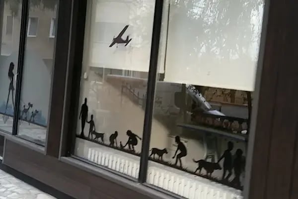 Vetmemorial Veteriner Kliniği - Resim 17