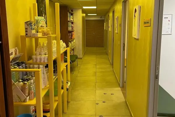 Vetmemorial Veteriner Kliniği - Resim 4