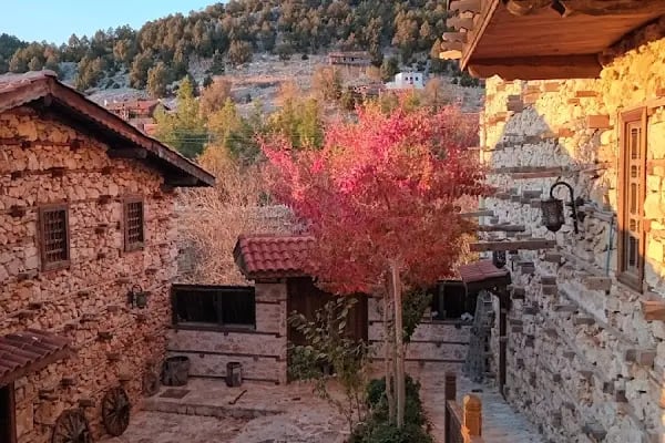 Ayşenaz Hanım Konağı - Resim 14