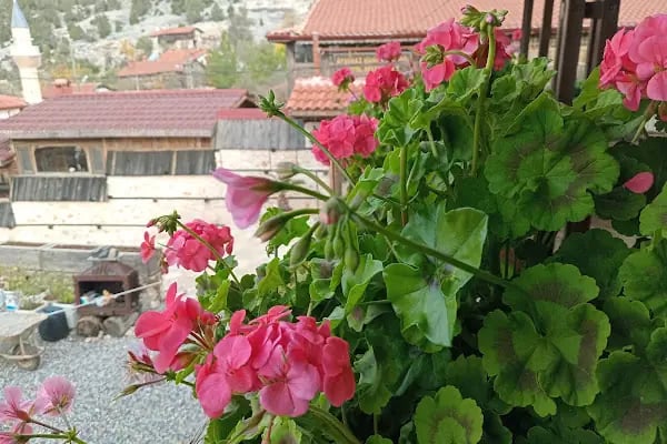 Ayşenaz Hanım Konağı - Resim 4