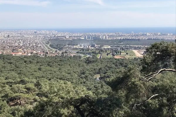 Macera Ormanı - Resim 4