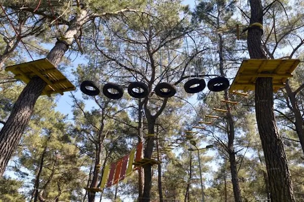 Macera Ormanı - Resim 2